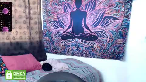 Cutie pie online show from 9, 12, 2024