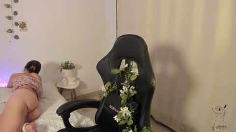 Aurora online show from 17, 11, 2025