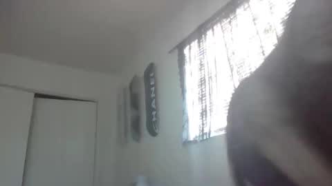 Snapshot of imyourbabydoll chatting on 26, 2, 2026 imyourbabydoll online show from 26, 2, 2026