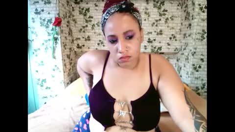 Candy cat online show from 22, 2, 2025