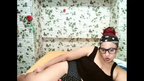 Candy cat online show from 3, 3, 2025