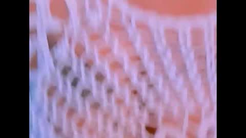 indianroxy27 online show from 13, 12, 2025