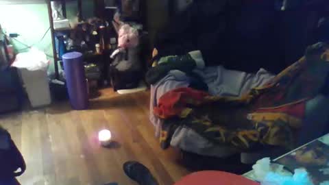 Snapshot of indigo_scorpio chatting on 11, 2, 2026 indigo_scorpio online show from 11, 2, 2026