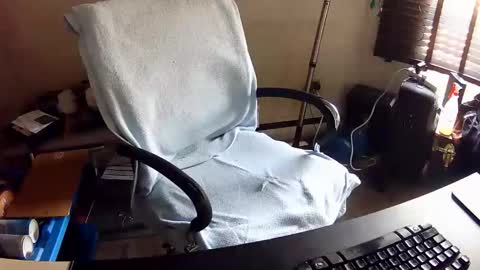 Snapshot of indigolvr chatting on 24, 2, 2026 BroLOU online show from 24, 2, 2026