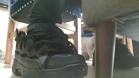 inmortal lamb online show from 12, 10, 2025