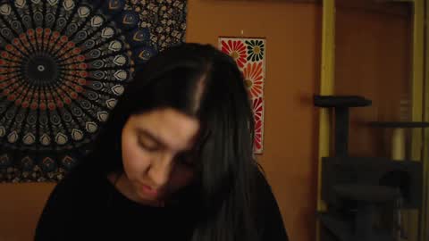 Africa online show from 5, 12, 2024