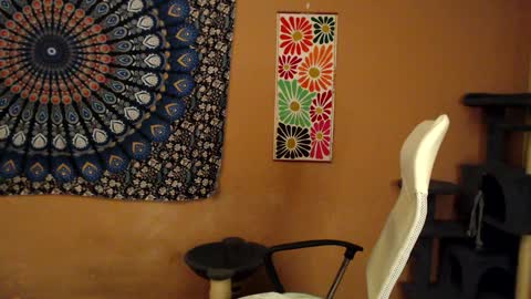 Africa online show from 5, 1, 2025