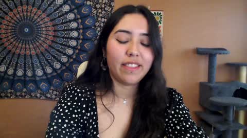 Africa online show from 27, 1, 2025