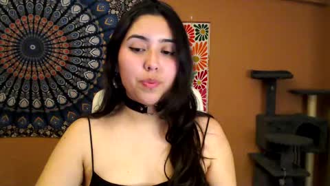 Africa online show from 27, 2, 2025