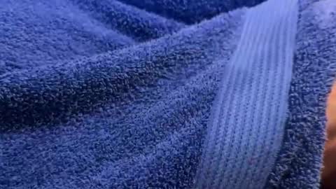 intressiert online show from 30, 12, 2024