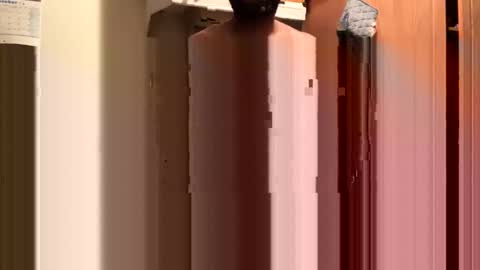 Snapshot of inyourmouthagain83 chatting on 8, 10, 2025 inyourmouthagain online show from 8, 10, 2025