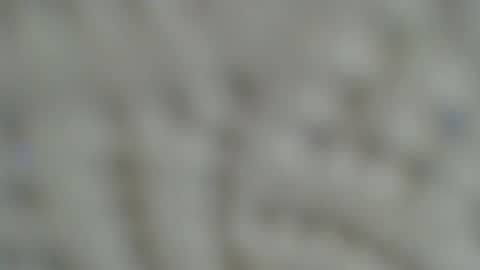 Irishdude2483 online show from 15, 1, 2025