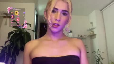 Isabella online show from 8, 1, 2026