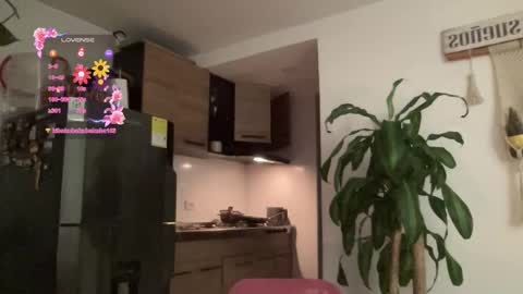 Isabella online show from 3, 2, 2026