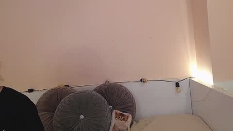    online show from 21, 12, 2024