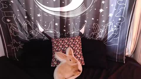    online show from 3, 1, 2025