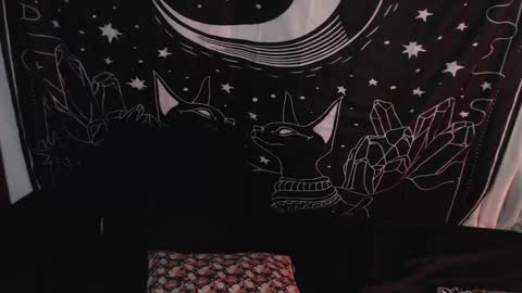    online show from 8, 1, 2025