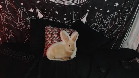    online show from 12, 1, 2025