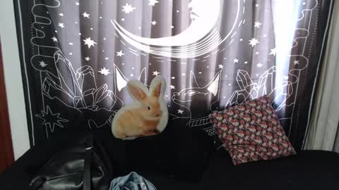    online show from 16, 1, 2025