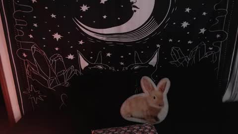    online show from 23, 1, 2025