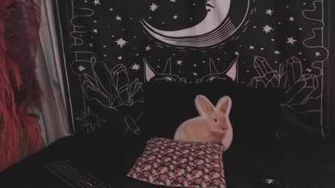    online show from 29, 1, 2025