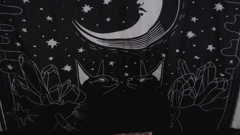    online show from 31, 1, 2025