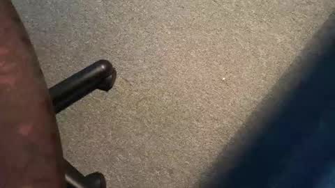 ispm online show from 24, 10, 2025