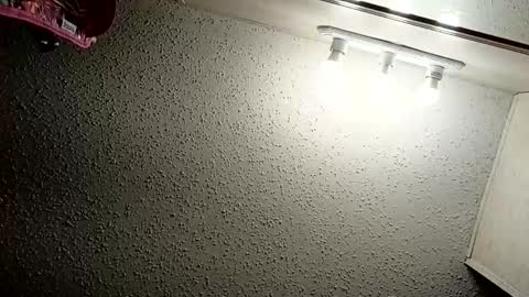 Snapshot of ittybittypritty chatting on 9, 11, 2025 ittybittypritty online show from 9, 11, 2025