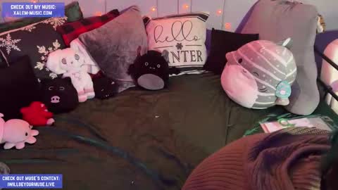 Muse hethey online show from 27, 11, 2025