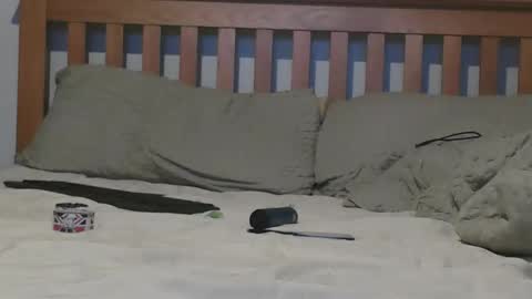 Big 8 online show from 4, 11, 2025