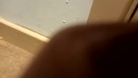 j434934 online show from 5, 1, 2026