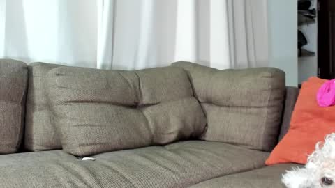 Snapshot of j_calix chatting on 23, 1, 2025 Calix Independient model Insta and twt Calixsnake online show from 23, 1, 2025