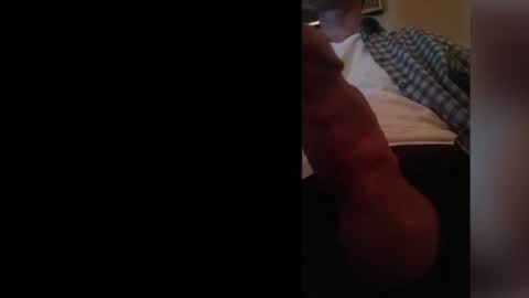 jaaydantaay online show from 7, 2, 2025