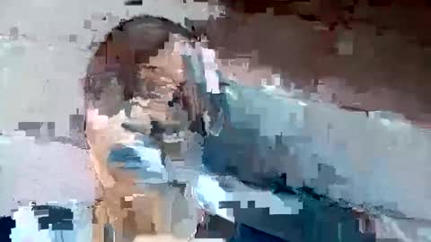 Snapshot of jackie_senpai chatting on 2, 12, 2024 jackie petit online show from 2, 12, 2024