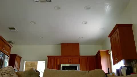 jacktome369 online show from 11, 11, 2025