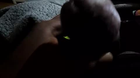 jackwiskyhoney online show from 19, 1, 2026