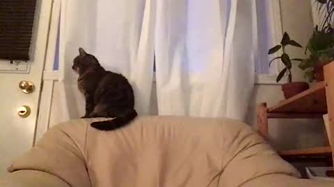 Jacob online show from 19, 10, 2025