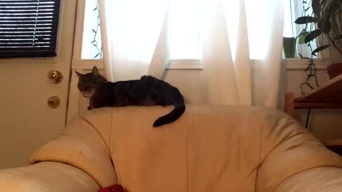 Snapshot of jacobmotes chatting on 17, 2, 2026 Jacob online show from 17, 2, 2026