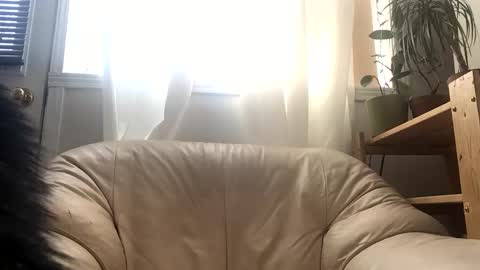 Snapshot of jacobmotes chatting on 24, 2, 2026 Jacob online show from 24, 2, 2026