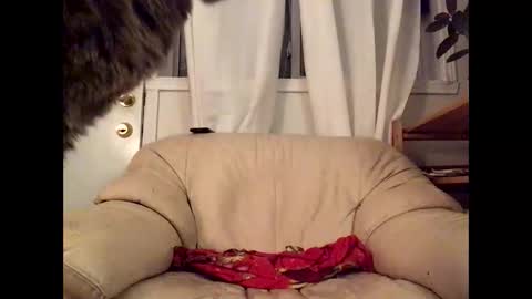 Snapshot of jacobmotes chatting on 17, 3, 2026 Jacob online show from 17, 3, 2026