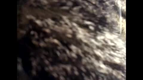 Snapshot of jacobmotes chatting on 24, 3, 2026 Jacob online show from 24, 3, 2026