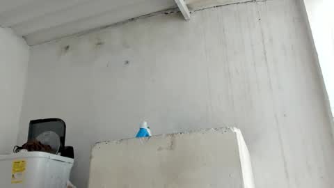 Snapshot of jadesmiith1 chatting on 24, 10, 2025 Jade Smith online show from 24, 10, 2025