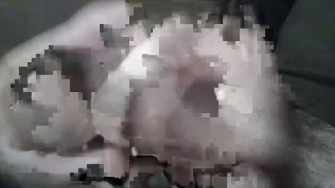 jake592011 online show from 6, 1, 2026