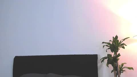 Snapshot of jakeortega chatting on 14, 2, 2026 Jake Orthega online show from 14, 2, 2026