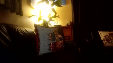 Snapshot of jamesloveridge901 chatting on 25, 10, 2025 jamesloveridge901 online show from 25, 10, 2025