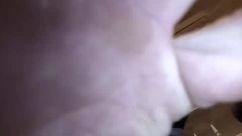 jamesloveridge901 online show from 2, 4, 2026