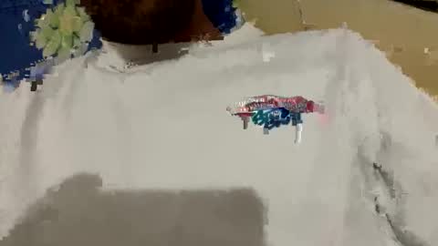 Snapshot of jamessandt chatting on 11, 10, 2025 jamessandt online show from 11, 10, 2025