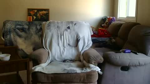 Snapshot of jameswolf777 chatting on 9, 9, 2025 jameswolf777 online show from 9, 9, 2025