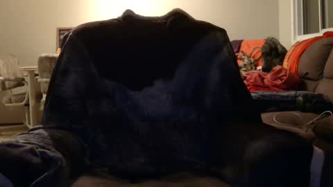 Snapshot of jameswolf777 chatting on 12, 11, 2025 jameswolf777 online show from 12, 11, 2025