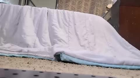 Bootyshows online show from 20, 2, 2026